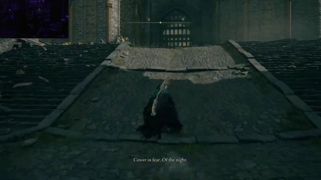 Elden Ring but every enemy is a godskin monk(enemy+item randomizer) смотреть онлайн