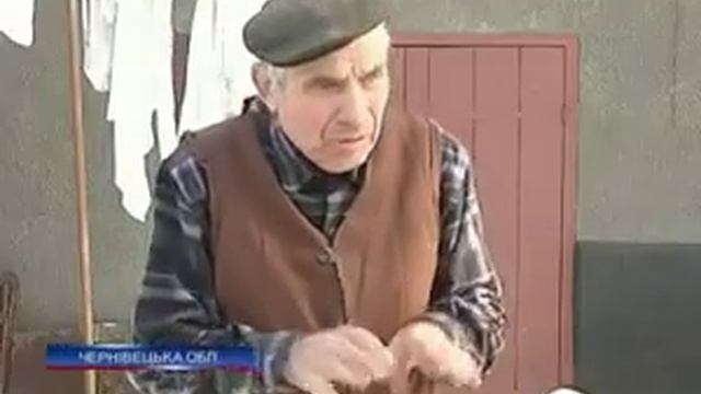 Спасенный украинкой аист поселился у нее на печи с котами и собаками смотреть онлайн