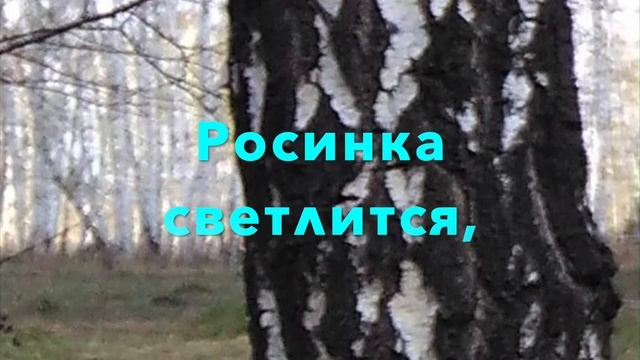 Грустная береза (Ян Райнис)_Sad Birch (Jan Rainis)