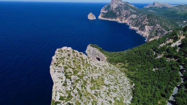 [4K UHD] Красивые дикие животные и расслабляющая музыка для снятия стресса смотреть онлайн