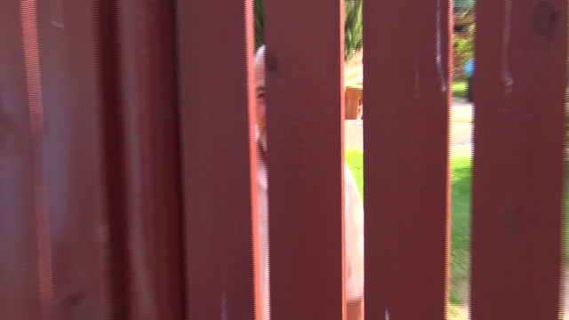 Кража лошадей элитных пород в Шаховском районе смотреть онлайн