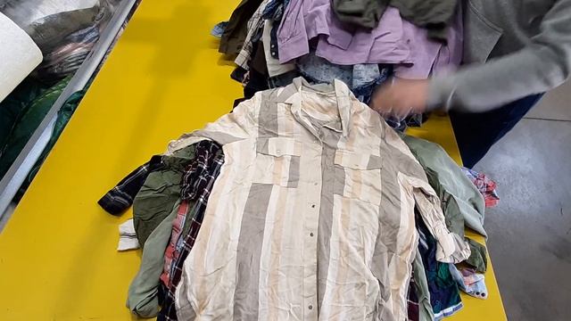 Женские рубашки дл. рукав ( -W1- LSHIRTS) - Ж 164 смотреть онлайн