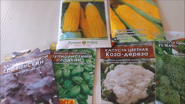 Закаливаю рассаду в теплице, лечу свои яблони//Наталья Харитонова смотреть онлайн