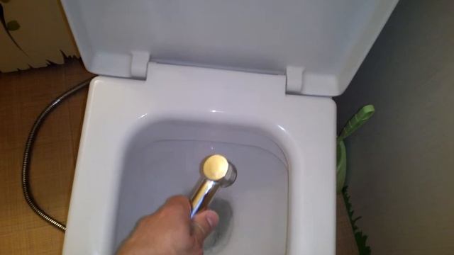 Гигиенический душ в туалете!/hygienic shower in the toilet! смотреть онлайн