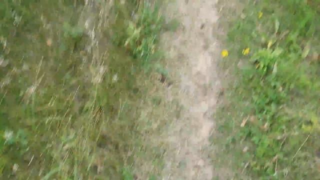 Как я ловил ящериц на поле смотреть онлайн