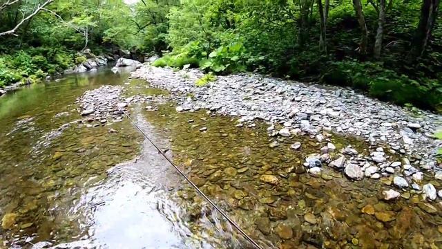 Рыбалка на горной реке. Мальма\Голец. Июнь 2020. Mountain stream fishing. Dolly Varden trout. смотреть онлайн