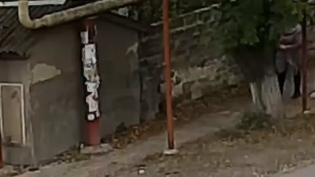 27.10.2016 Кража на рынке в Октябрьском часть 2 смотреть онлайн