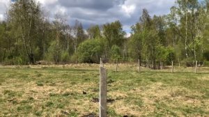 Установка бетонных столбов для забора