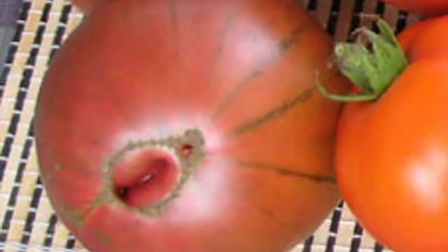 Сорта томатов - сладкие и урожайные. Различного цвета и формы смотреть онлайн