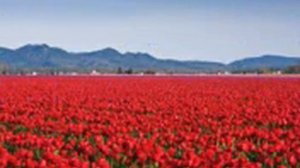 ПРИРОДЕ ТАДЖИКИСТАН