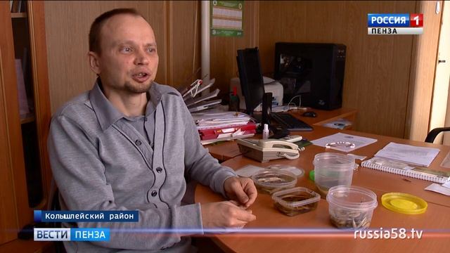 Пензенскому Хопру угрожает экологическая катастрофа смотреть онлайн
