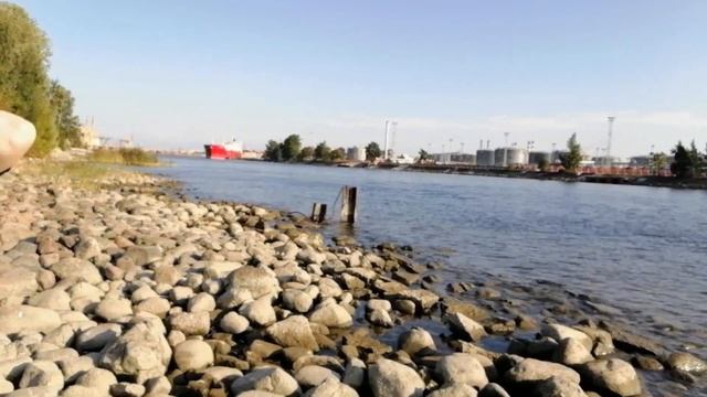 Морские золотые ворота Санкт-Петербурга. 30.08.2021. смотреть онлайн