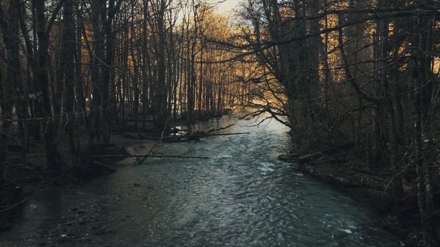 Абхазия | Малая рица | Пшегишва | Гагра | Юпшарский каньон смотреть онлайн