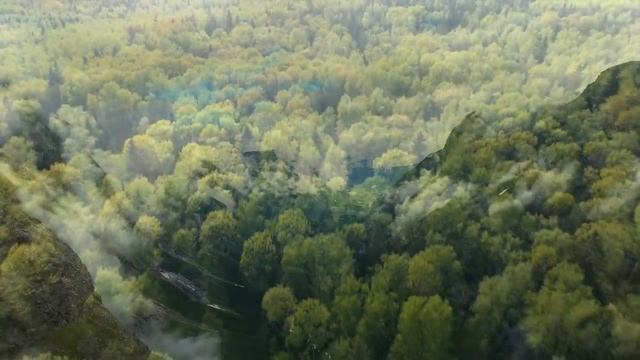 Музыка для релаксации и успокоения нервов смотреть онлайн