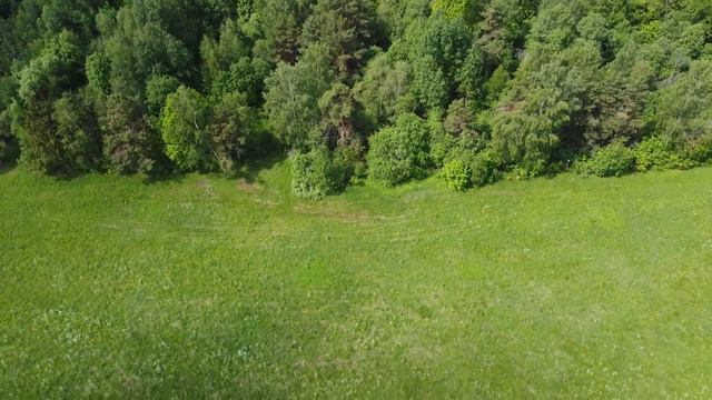 Участки в деревне Липатники. Обзор участка 19 соток смотреть онлайн