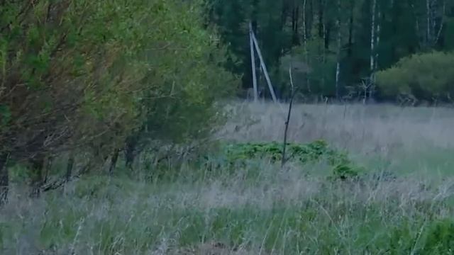 Nikon Coolpix B600 zoom test. смотреть онлайн