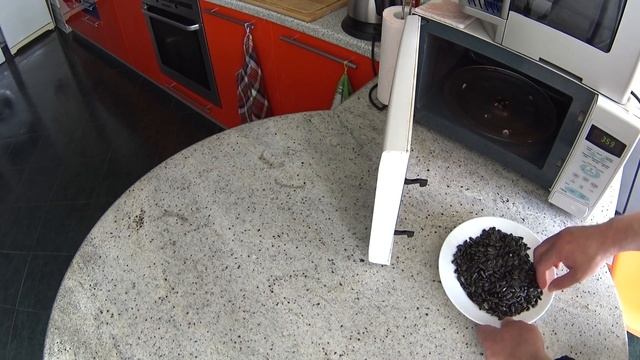 Мастерство и Вдохновение