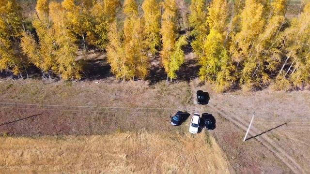 Поездка молодежи на праздник жатвы в село Половинное| Жатва 2022 смотреть онлайн