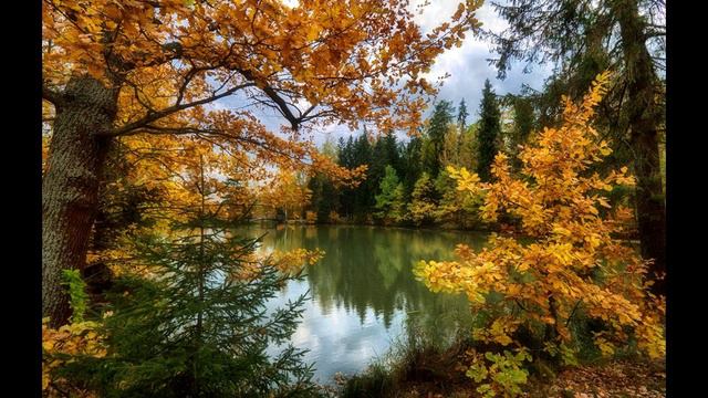 Александр Решмедилов. В прозрачном воздухе осеннем