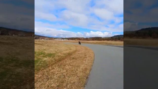 Track Day on the Kingsong S22 смотреть онлайн