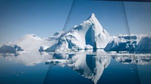 Арктика - интересные факты. Природа Арктики