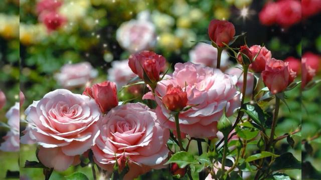 К СЕРДЦУ ПРИЖМУ смотреть онлайн