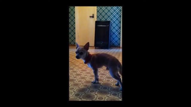 Газовый каталитический обогреватель. смотреть онлайн