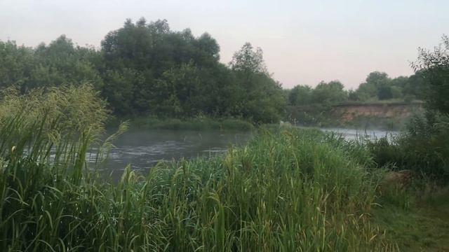 Идеальное утро!!! Пьяный от восхода солнца, пьяный от луны...... смотреть онлайн