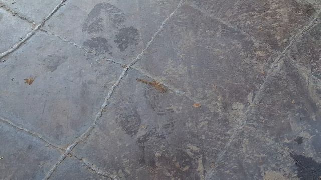 Менты в не очень Большом Городе №0