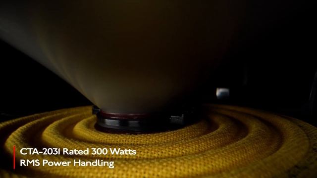 Pioneer TS-ME100WS - Marine Subwoofer System Overview смотреть онлайн