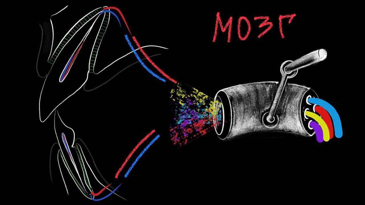 Проприорецепция - медицинское недомыслие. Зубы, бруксизм,   кошмары, ВНЧС - ДВНЧС - НМР