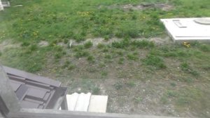 Кардон лайф. Дом из арболита. Три года спустя
