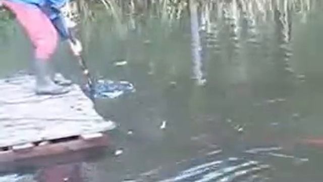 как очистить пруд своими руками смотреть онлайн