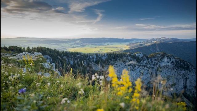 Расслабляющая музыка для сна, медитации и борьбы со стрессом смотреть онлайн