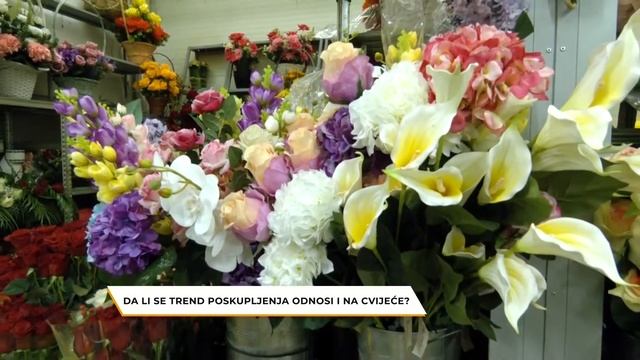 Rujna zora/ Da li je trend poskupljenja uticao i na cijene cvijeća i kakva je ponuda u Podgorici? смотреть онлайн