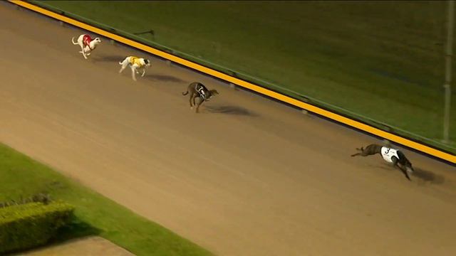 2022 Victorian Greyhound of the Year | Aston Rupee смотреть онлайн
