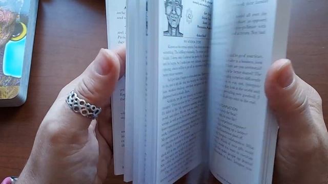 The Wisdom Keepers Oracle Deck by Rosy Aronson Flip Through and Review. смотреть онлайн