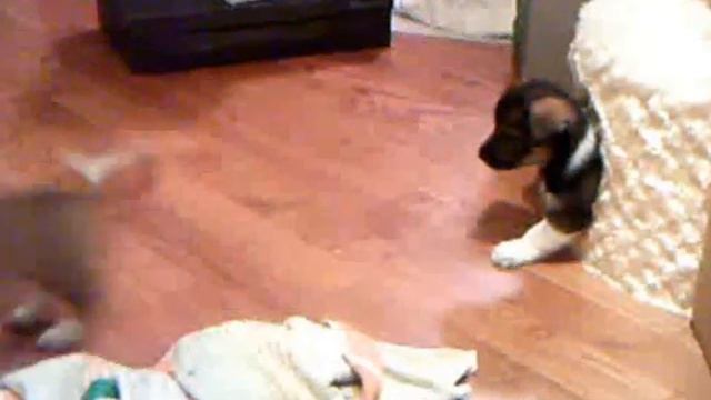 Подарю друга смотреть онлайн