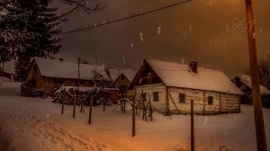 Тайга щедро делится, но и требует плату за свои дары Случай в тайге