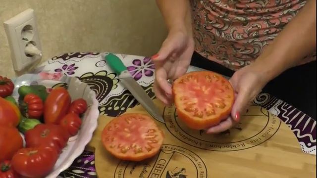 Обзор томат ЛЕНТЯЙКА - гигант смотреть онлайн