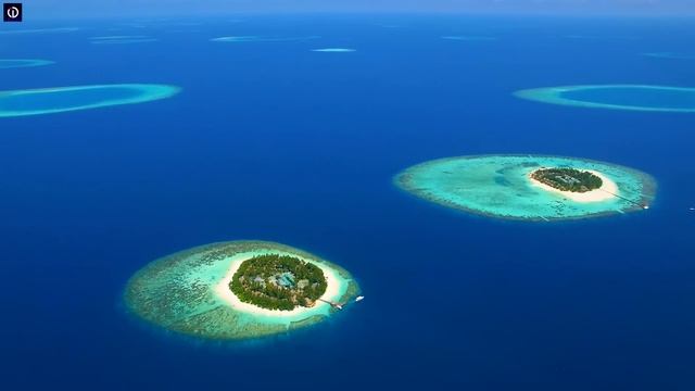 Maldives Summer Mix 2023 ? Best Of Tropical Deep House Music Chill Out Mix #5 смотреть онлайн