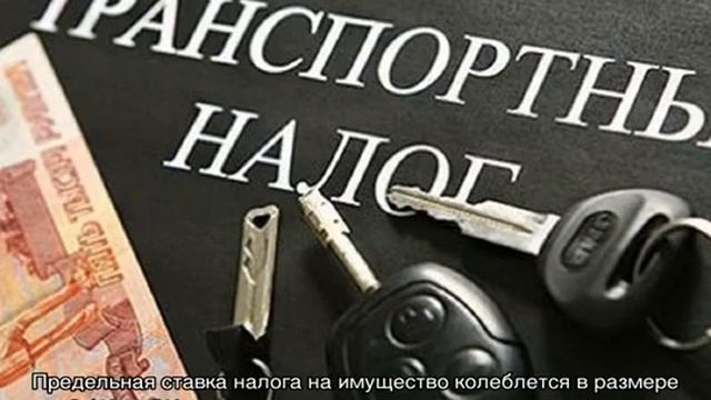 Налоги физических лиц смотреть онлайн