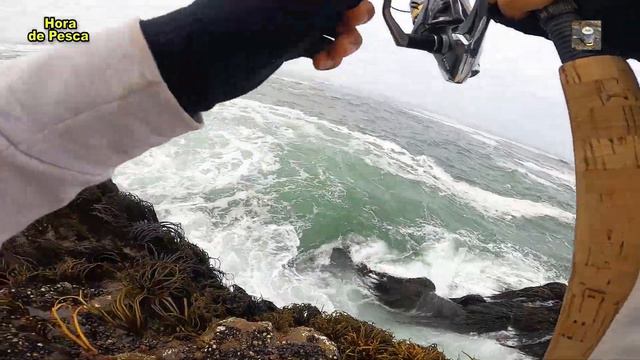 REVISA Siempre El LIDER Para Que No Te PASE ESTO. || Tips And Fishing Techniques.