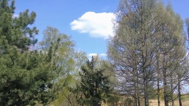 Октябрьский гидропарк, апрель 2013 смотреть онлайн