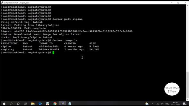 #DOC034 How to use local docker registry with persistent volumes #docker #kubernetes смотреть онлайн