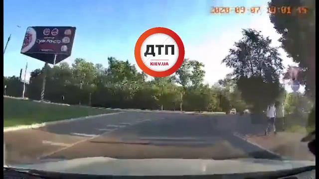 Киевская область..Когда пес умнее многих пешеходов:) Если животное в беде, пишите смотреть онлайн