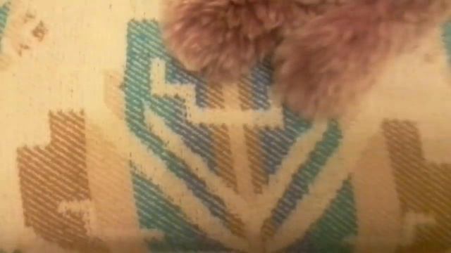 История про зайца смотреть онлайн