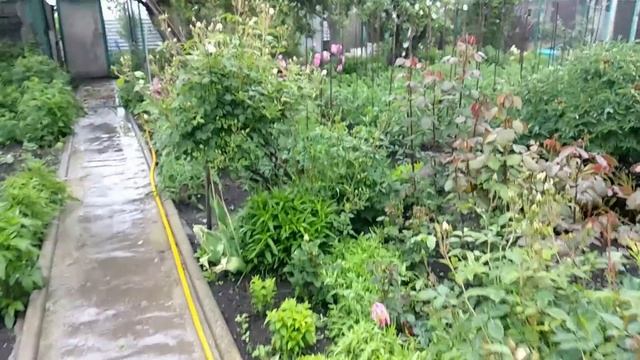 Строительные Шаблоны