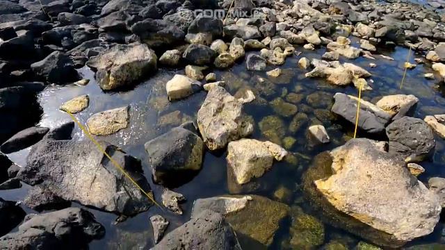 고망(구멍)낚시, 제주도 구멍치기낚시, 돌틈낚시 смотреть онлайн