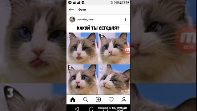 МЕМЫ!!! Крош уже не тот_лягушка Пепе уже нет а ????? смотреть онлайн